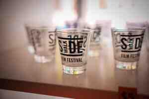 27th Annual Sidewalk Film Festival by Dead Rabbit Photography